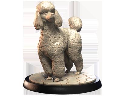 Poodles (2)